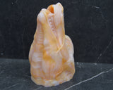 Medium Seiryuu [Penetrable] - (SuperSoft/0020)- G100